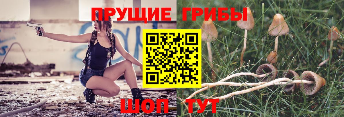 Псилоцибиновые грибы Psilocybine cubensis  Вход с VPN  Мирный  Псилоцибиновые грибы мицелий 